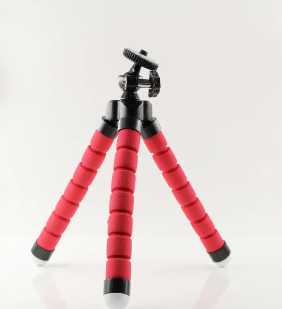 Black flexible octopus tripod stand wrapped around a branch holding a smartphone for angled video capture