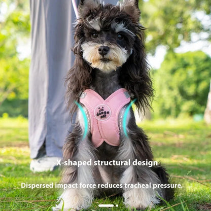 Adjustable dog vest and hand holding rope set in blue, green, pink, or yellow colours with polyester material