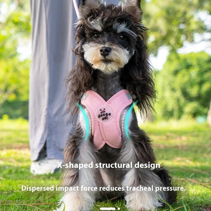 Adjustable pet vest with hand holding rope in blue, green, pink, or yellow colours