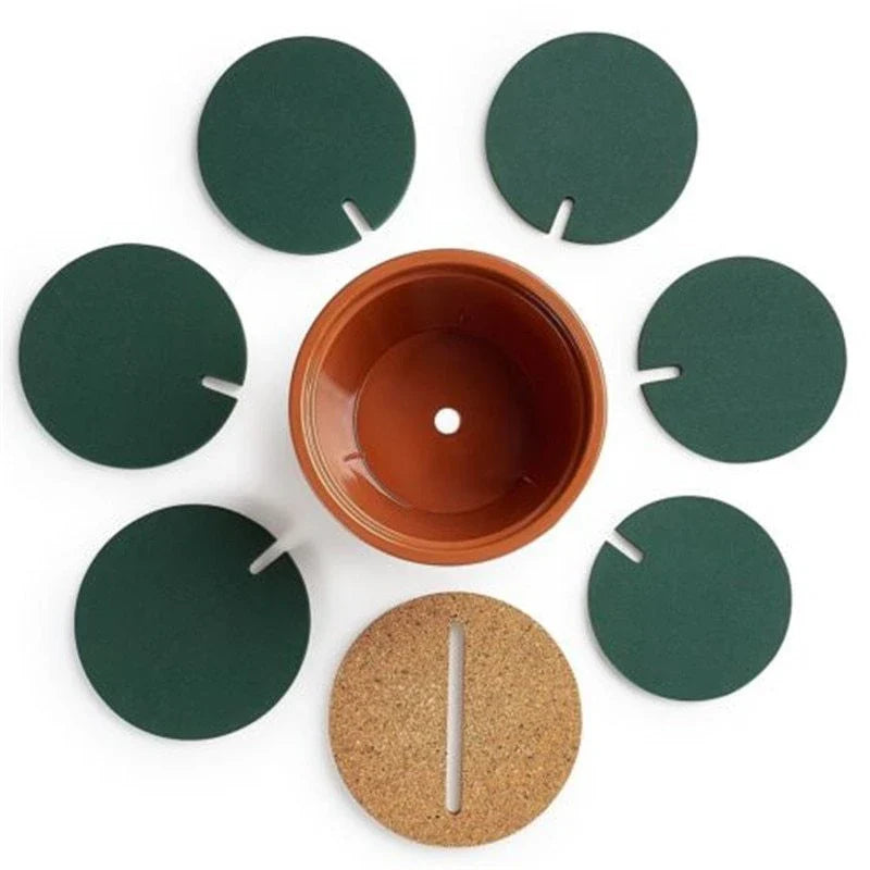 Cactus-shaped coaster set with various sizes to hold hot and cold drinks, protecting tables from scratches and marks