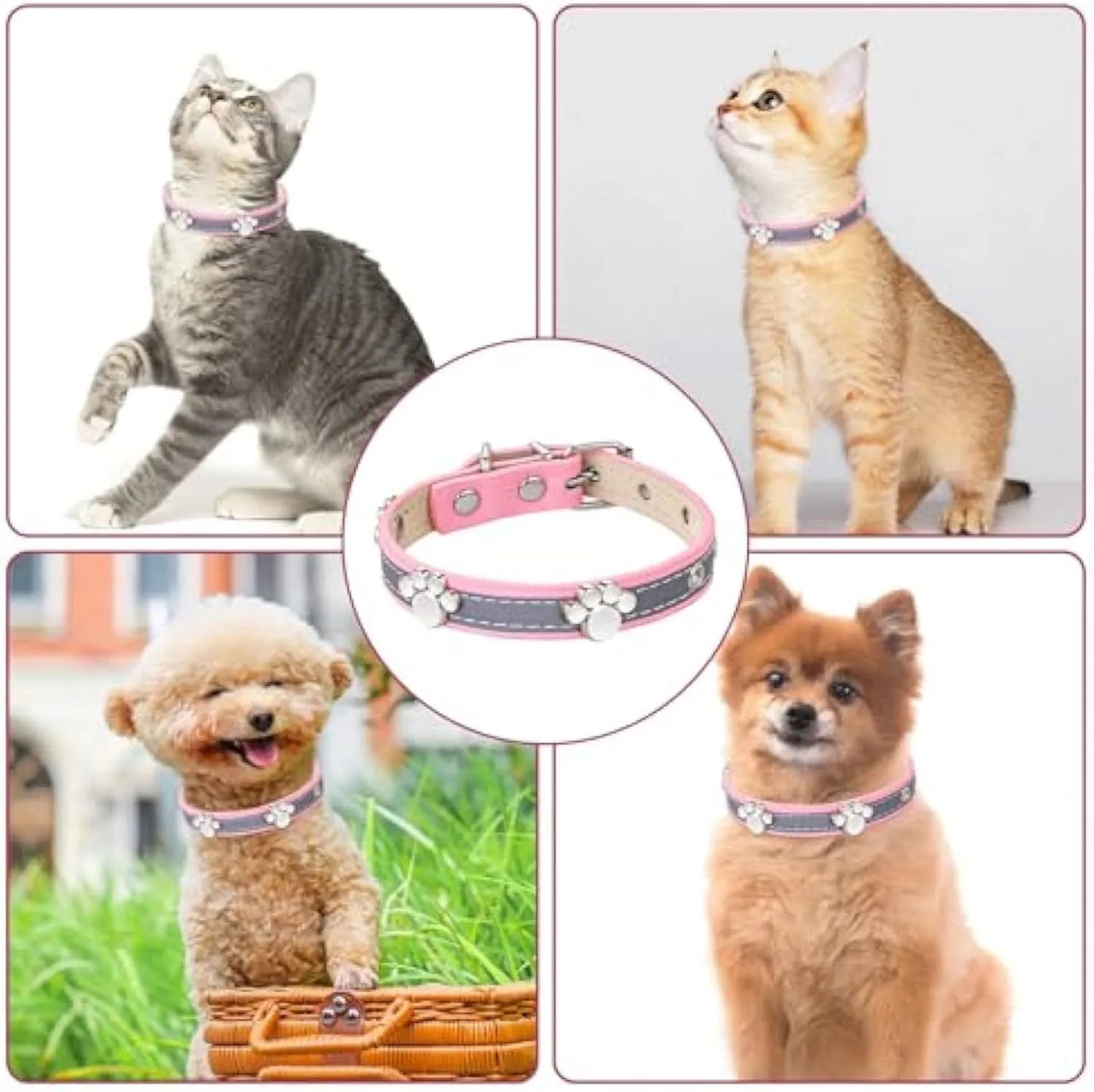 Reflective adjustable dog collar with paw rivet on soft PU leather, showing metal buckle and five adjustment holes