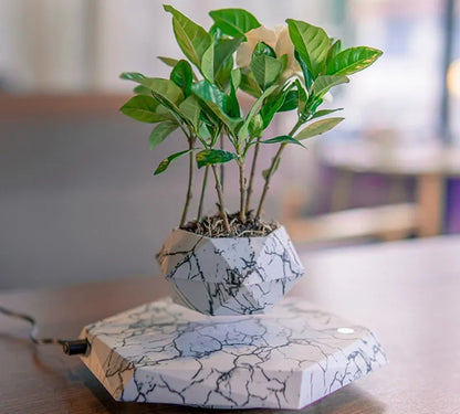 Marbling colour magnetic levitating plant pot floating above base with small plant inside
