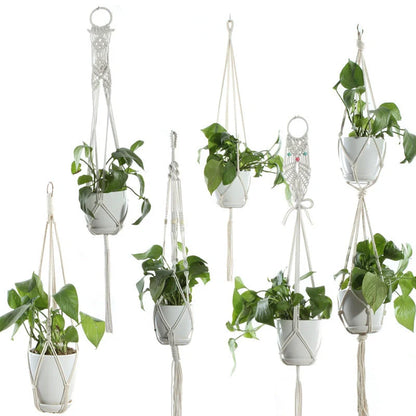 Beige cotton rope hanging basket with various styles for indoor plant display