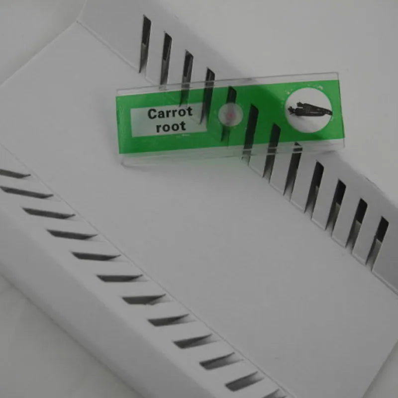 Plastic microscope slides for children's education with 48 prepared plant rhizome and animal specimen sections in four colour-coded biological series including plant roots, stems, leaves, and flowers