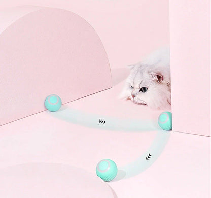 Interactive Automatic Cat Toy with Rotating Ball and Obstacle Avoidance Technology
