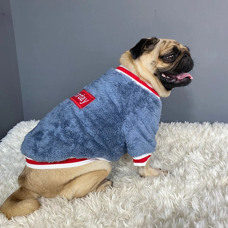 Navy blue dog jumper in 100% cotton with casual style, shown on a model dog