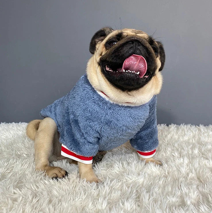 Navy blue dog jumper in 100% cotton with casual style, shown on a model dog