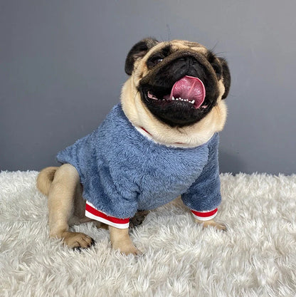 Navy blue dog jumper in 100% cotton with casual style, shown on a model dog