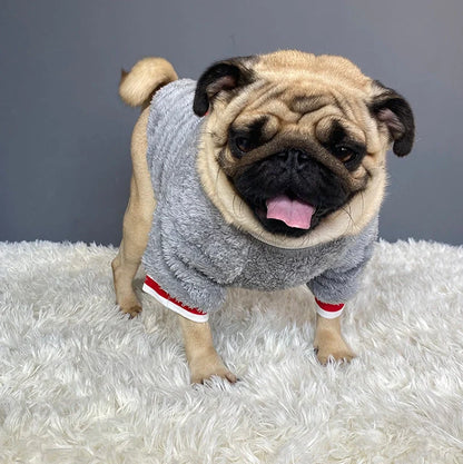 Navy blue dog jumper in 100% cotton with casual style, shown on a model dog