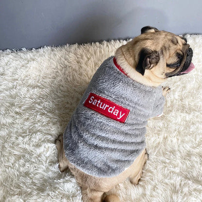 Navy blue dog jumper in 100% cotton with casual style, shown on a model dog