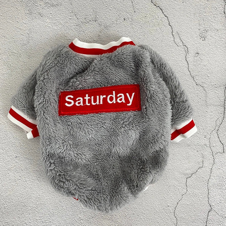 Navy blue dog jumper in 100% cotton with casual style, shown on a model dog