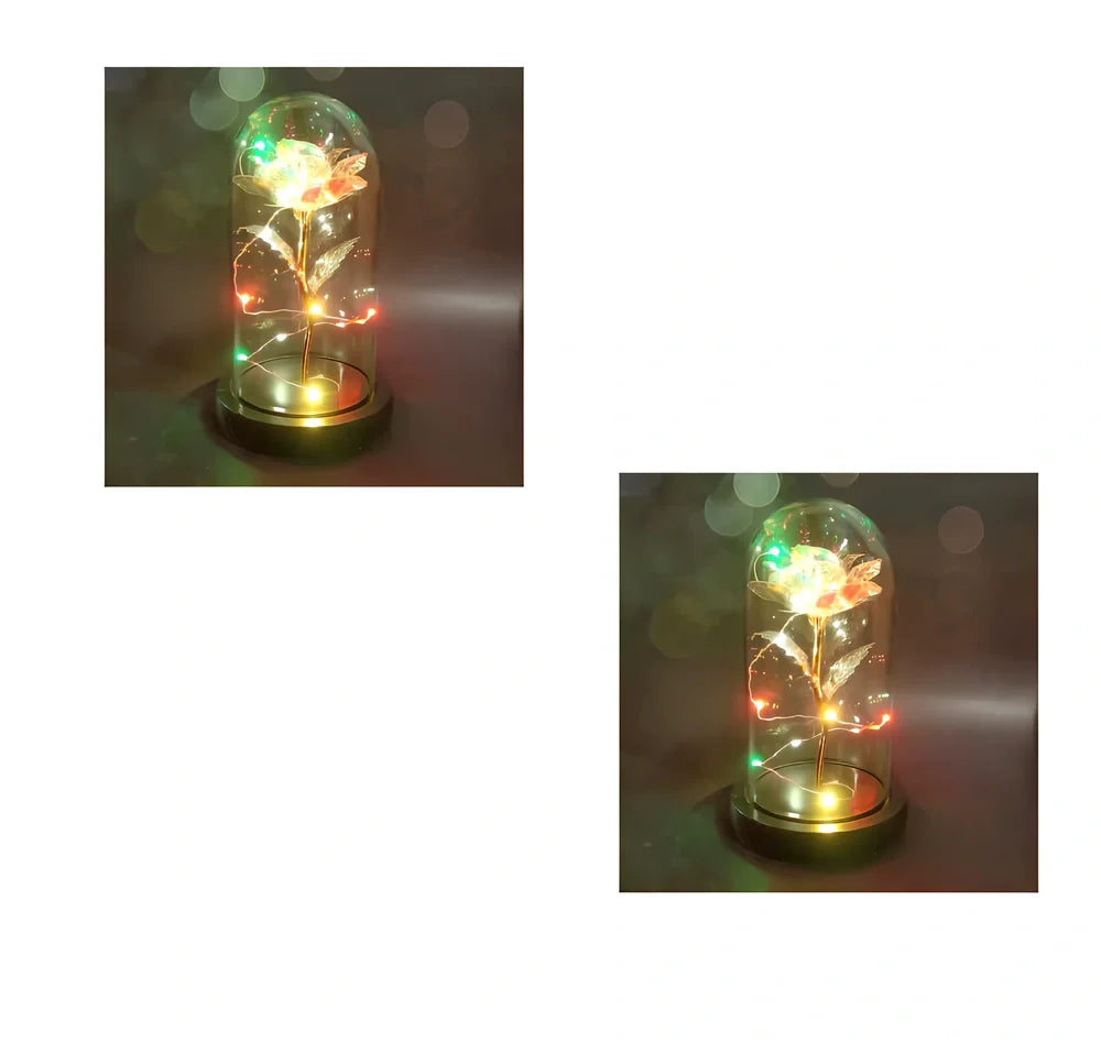 Glass dome LED rose flower micro landscape with gold petals and black base