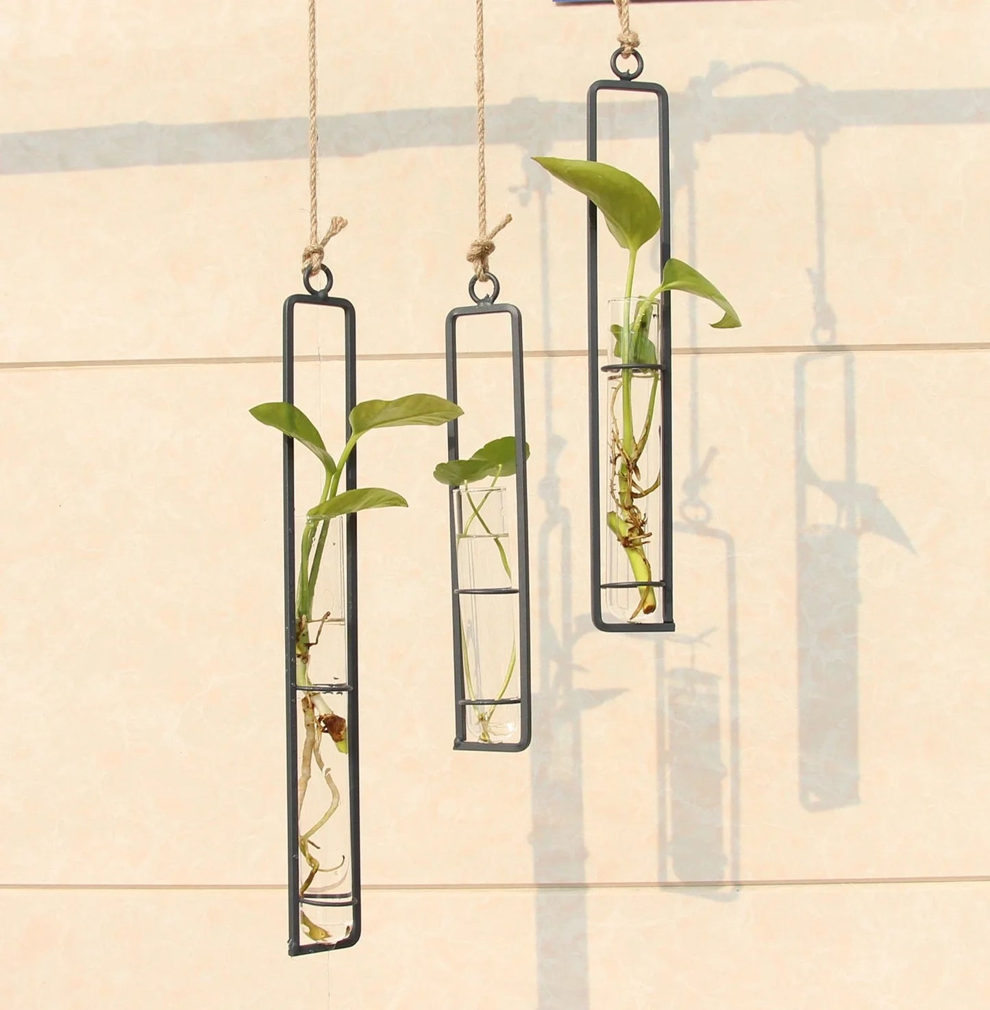Grey wrought iron and glass hydroponic vase with hemp rope hanging three test tubes vertically