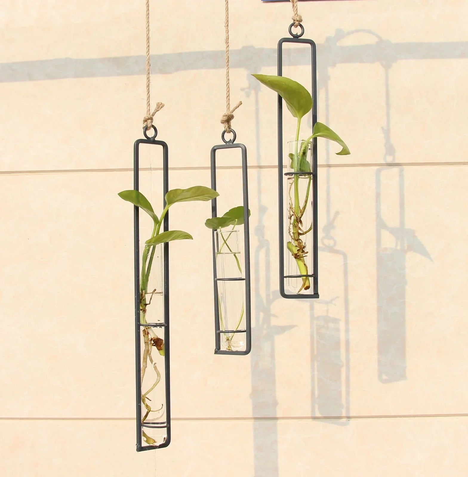 Grey wrought iron and glass hydroponic vase with hemp rope hanging three test tubes vertically