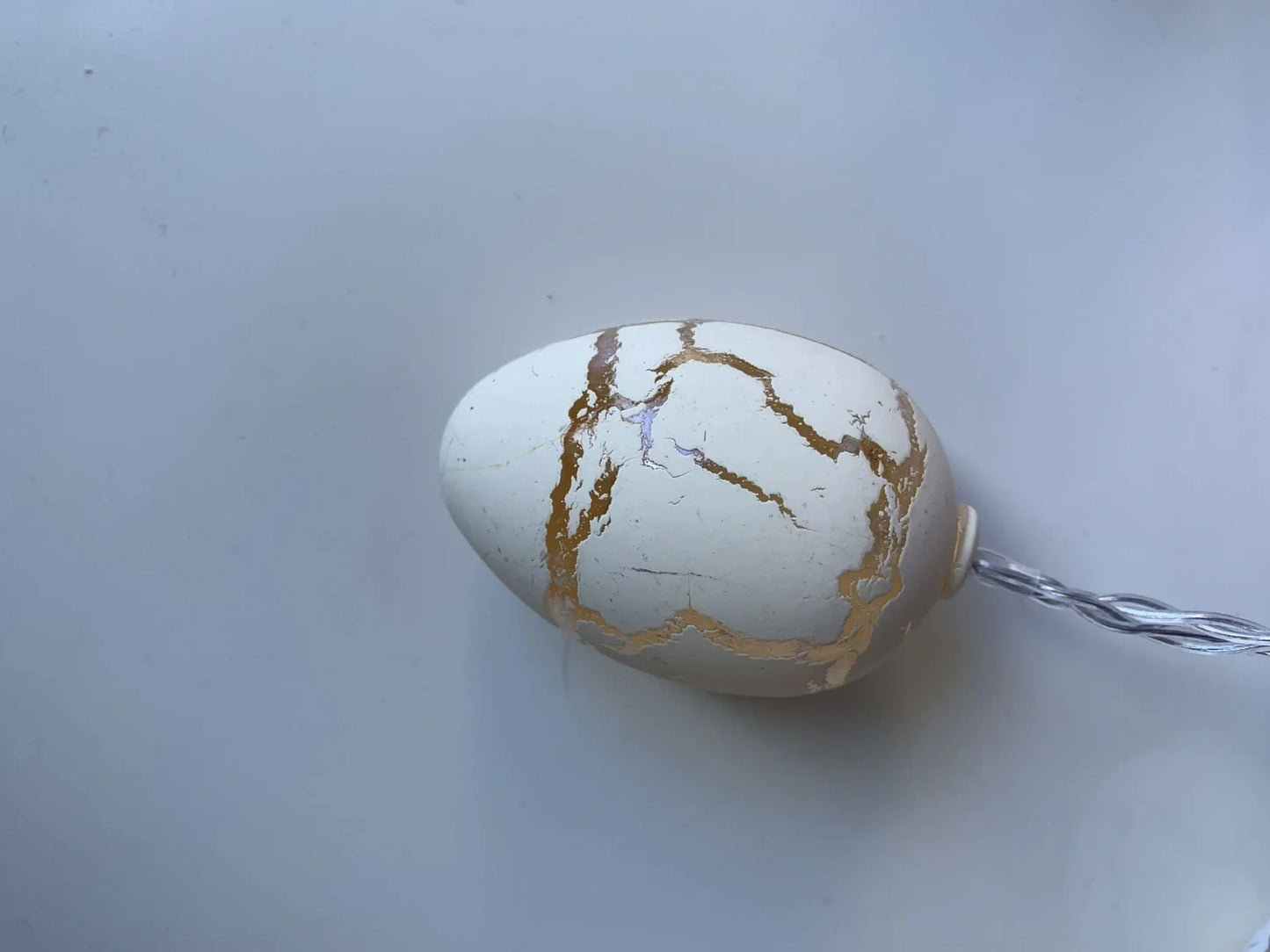 Crack egg LED string lights shaped around window with coloured plastic shells and flexible cable