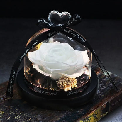 LED eternal real rose preserved in a glass dome home decor with colour options.