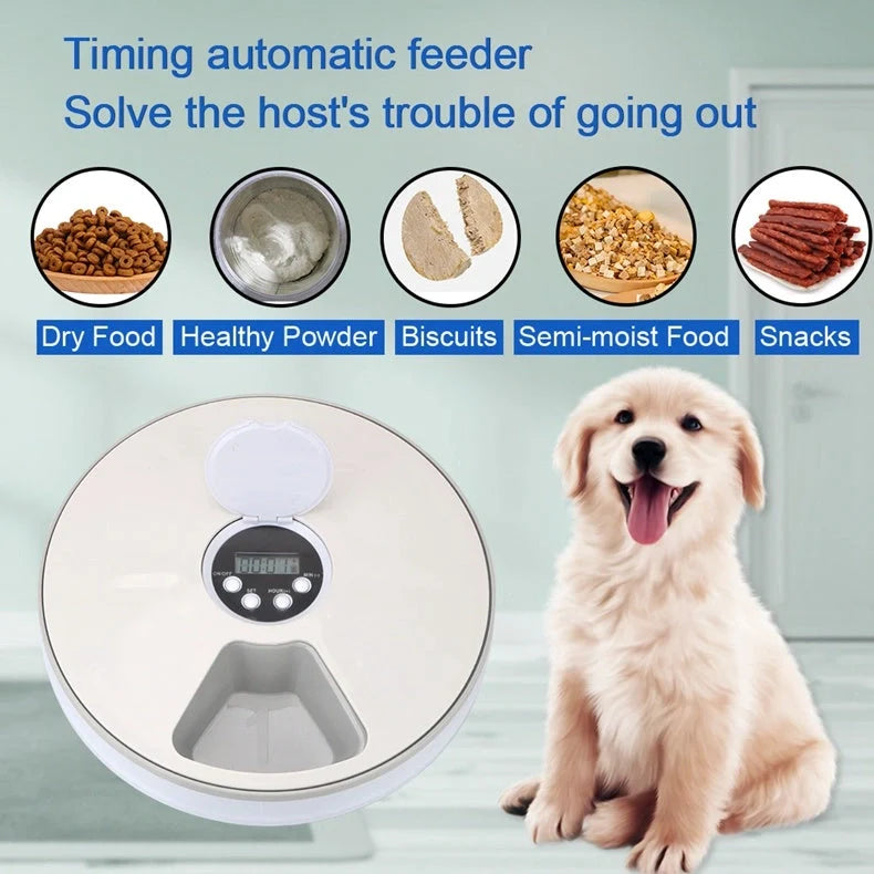 Automatic pet feeder with 6 grids and voice recorder in white, blue, and pink options