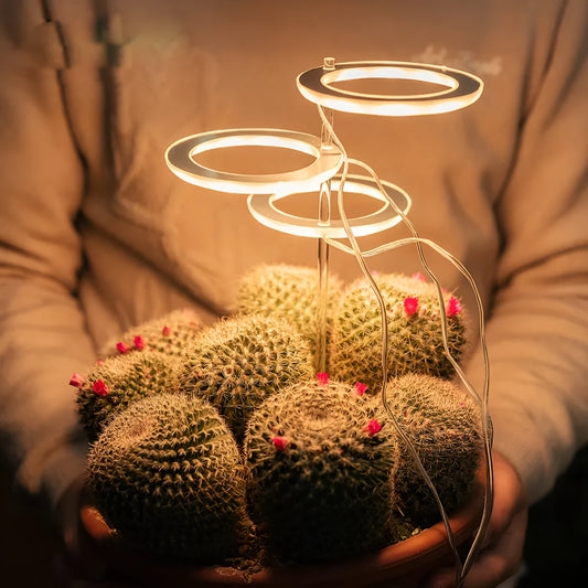 USB-powered LED plant grow light with transparent housing and acrylic mounting stick.