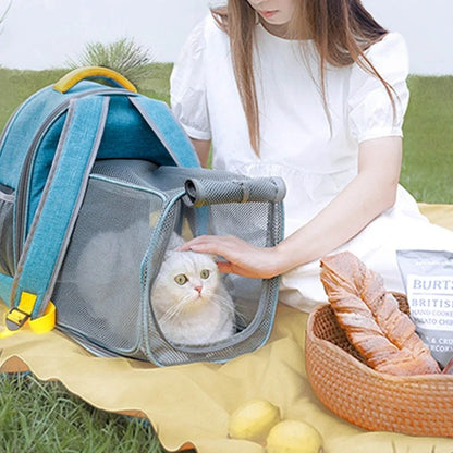 Foldable transparent mesh window pet backpack with inner safety leash in grey