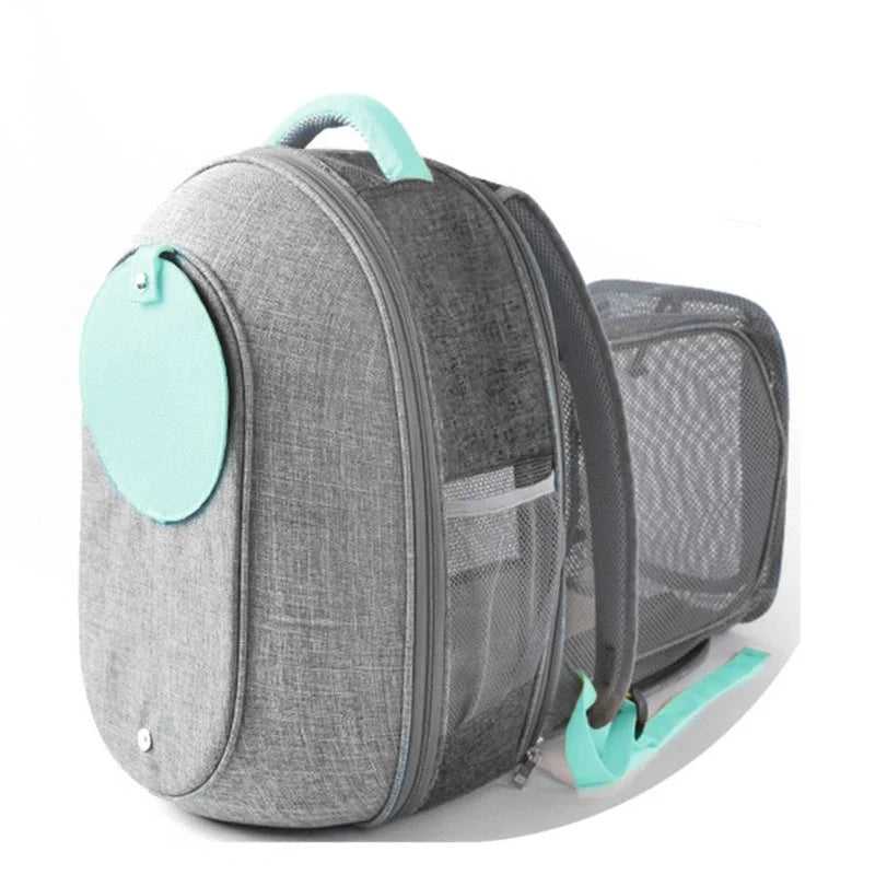 Foldable transparent mesh window pet backpack with inner safety leash in grey
