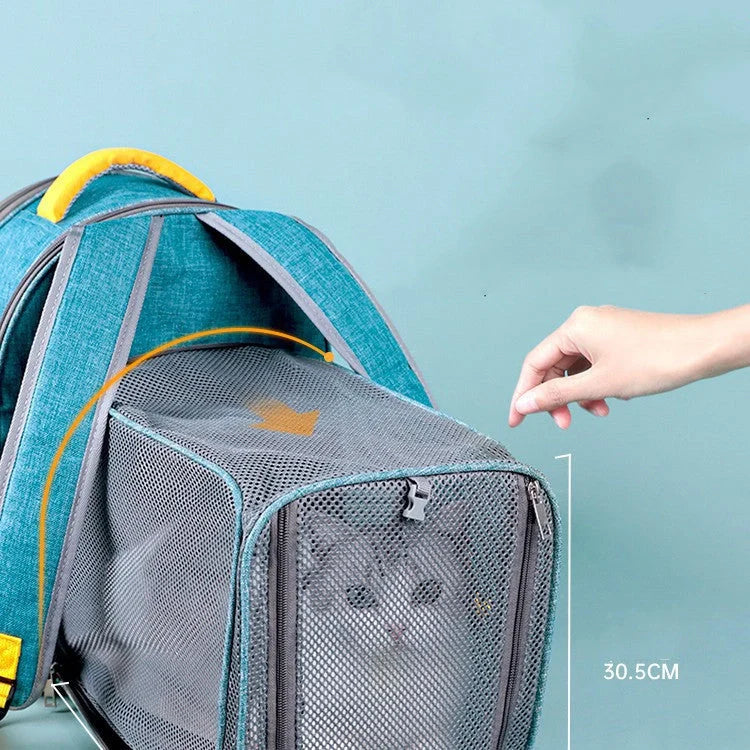 Foldable transparent mesh window pet backpack with inner safety leash in grey