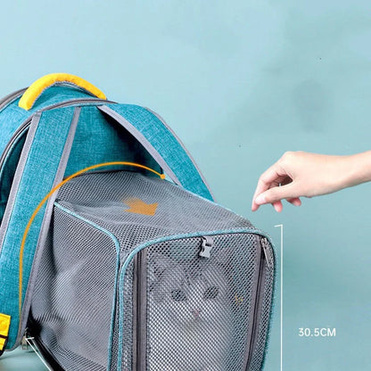 Foldable transparent mesh window pet backpack with inner safety leash in grey