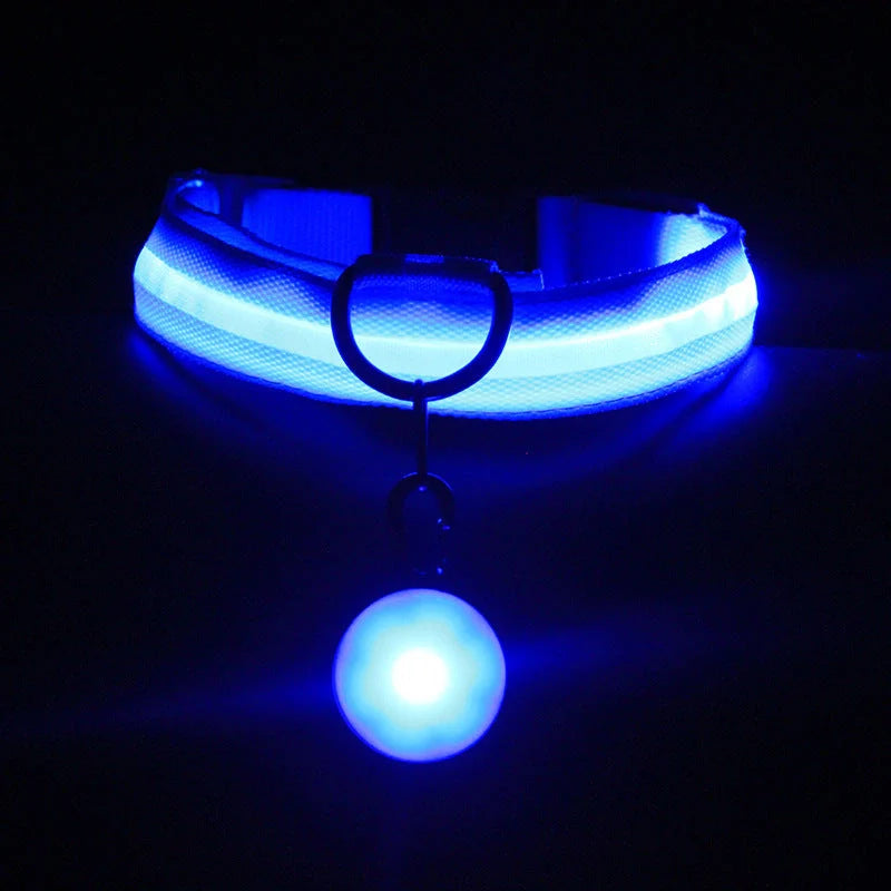 Luminous Dog Collar in various colors with three flashing modes for nighttime safety