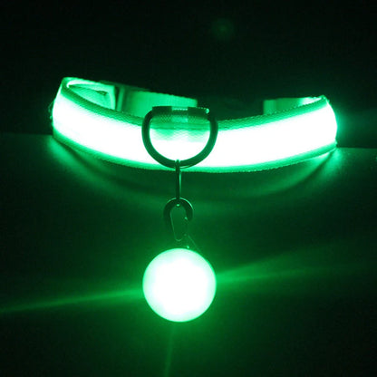 Luminous Dog Collar in various colors with three flashing modes for nighttime safety