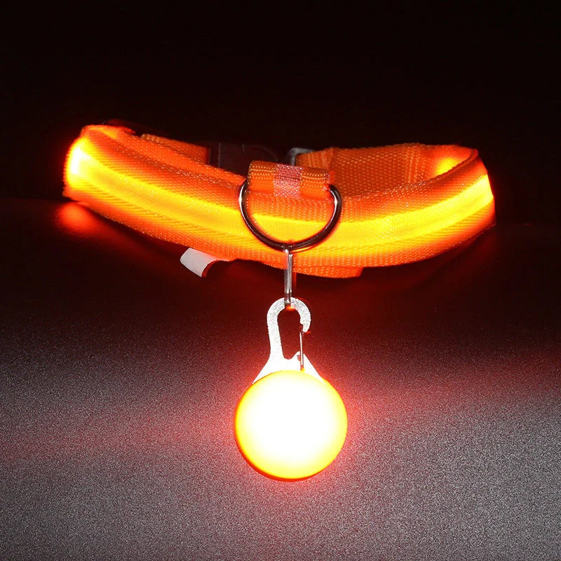 Luminous Dog Collar in various colors with three flashing modes for nighttime safety