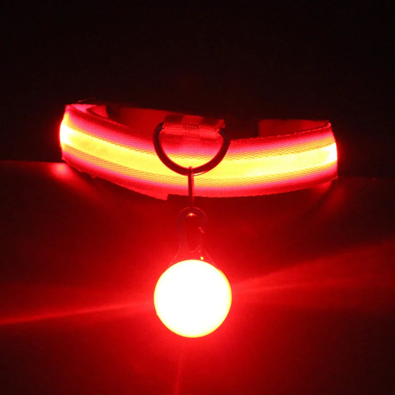 Luminous Dog Collar in various colors with three flashing modes for nighttime safety
