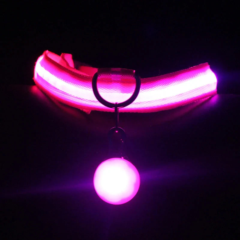 Luminous Dog Collar in various colors with three flashing modes for nighttime safety