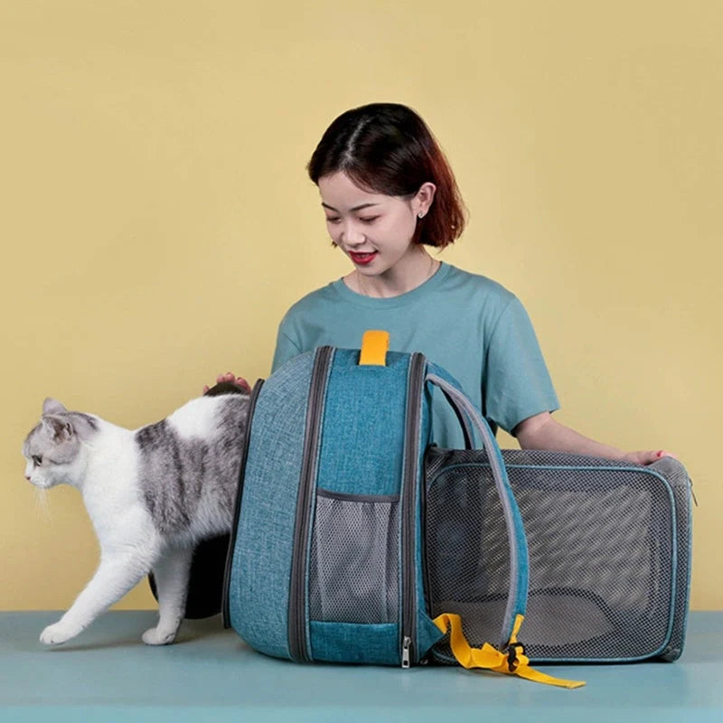 Foldable transparent mesh window pet backpack with inner safety leash in grey