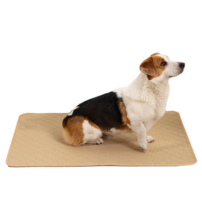 Premium absorbent dog pads in various sizes and colors for indoor pet training and accident protection