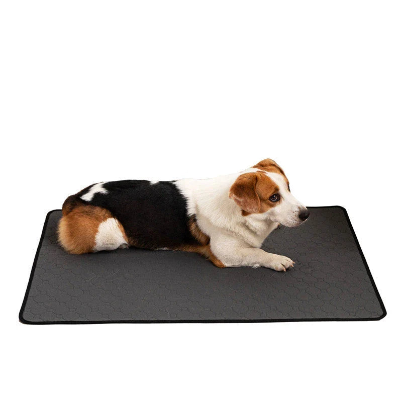Premium absorbent dog pads in various sizes and colors for indoor pet training and accident protection