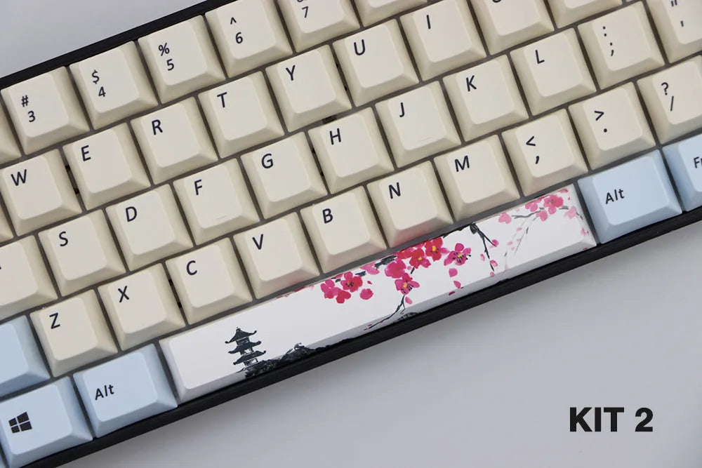 Single PBT plastic 6.25U spacebar keycap for mechanical keyboards in a selected colour