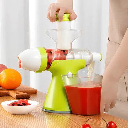 Stainless steel manual citrus juicer with hand crank and 500ml collection container