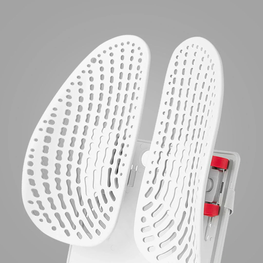 Adjustable lumbar support cushion with ventilated mesh for cars and office chairs