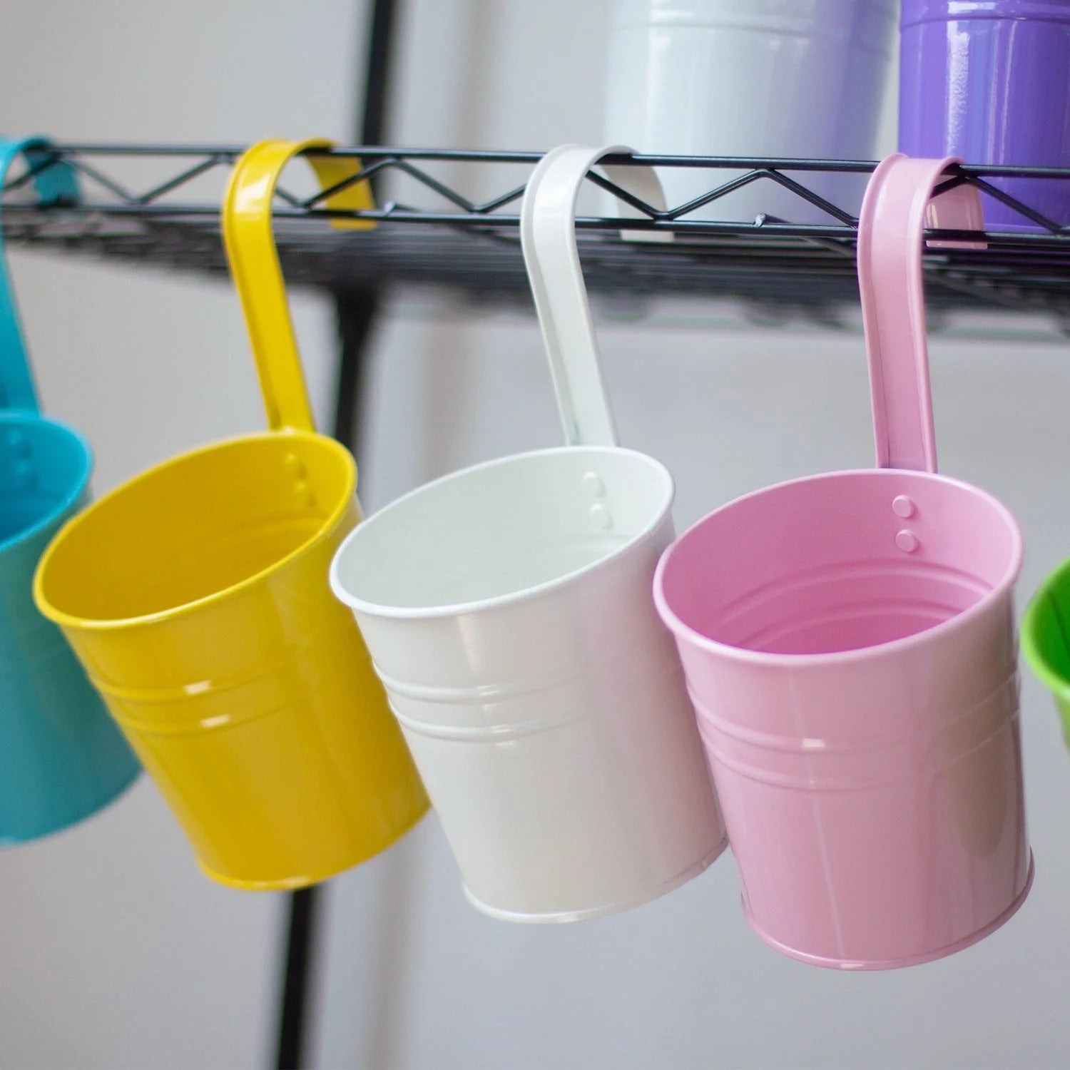 Iron hanging flower pot in various colors for garden and home decoration