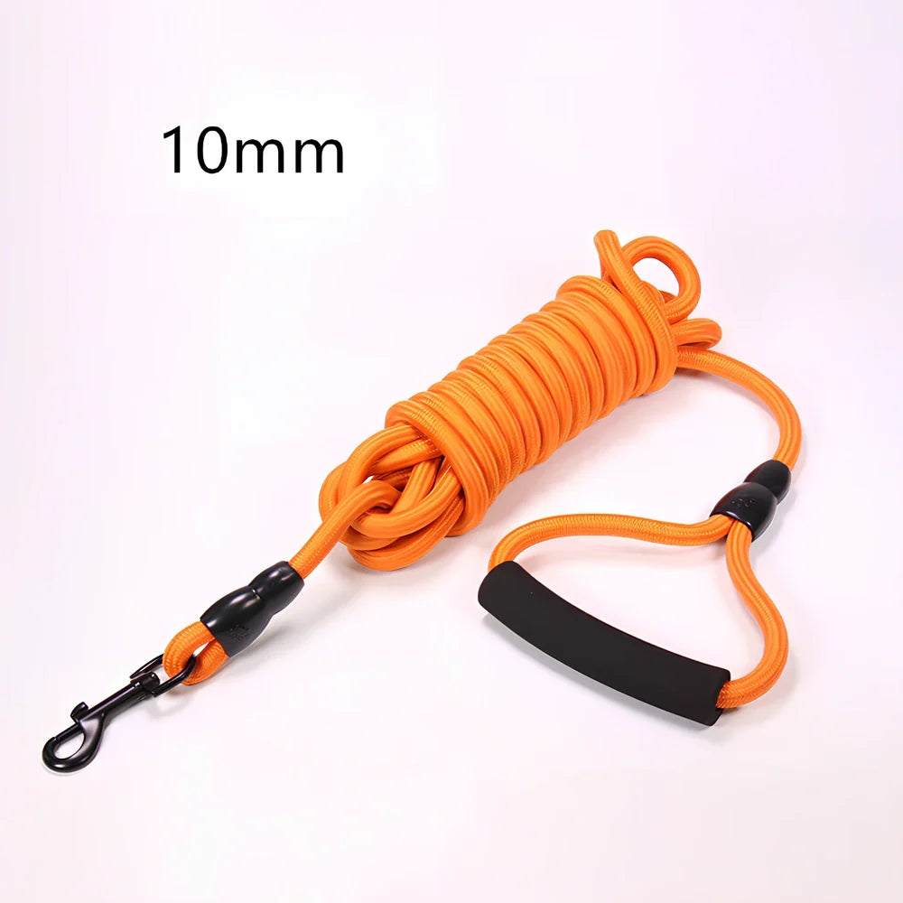 Nylon dog walking traction rope showing black, blue, orange, and red colour options with length and width variations