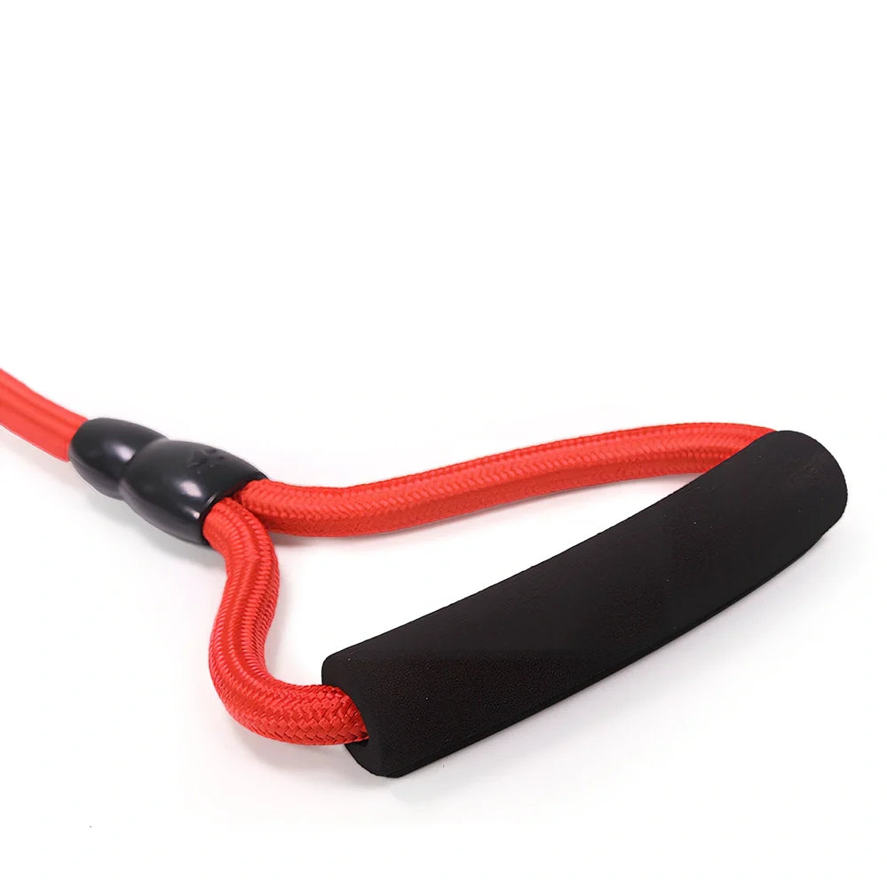 Nylon dog walking traction rope showing black, blue, orange, and red colour options with length and width variations