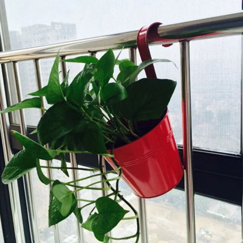 Iron hanging flower pot in various colors for garden and home decoration