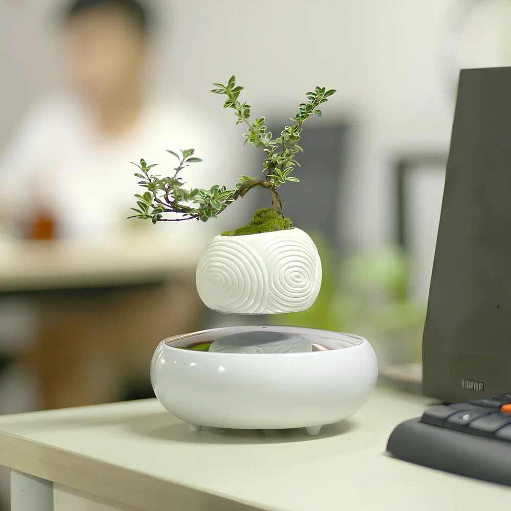 Magnetic levitation potted plant floating 2cm above imitation porcelain base