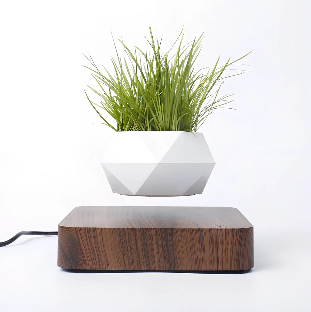 Magnetic levitation potted plant floating 2cm above imitation porcelain base