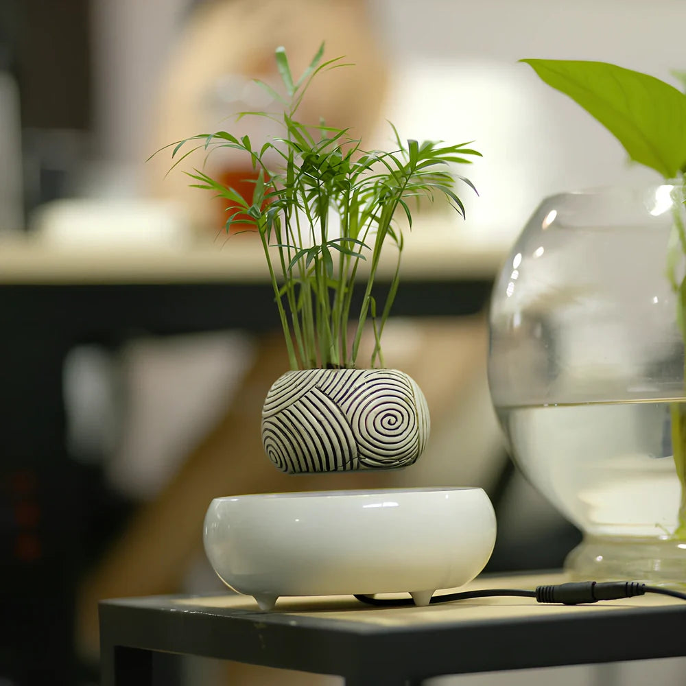 Magnetic levitation potted plant floating 2cm above imitation porcelain base