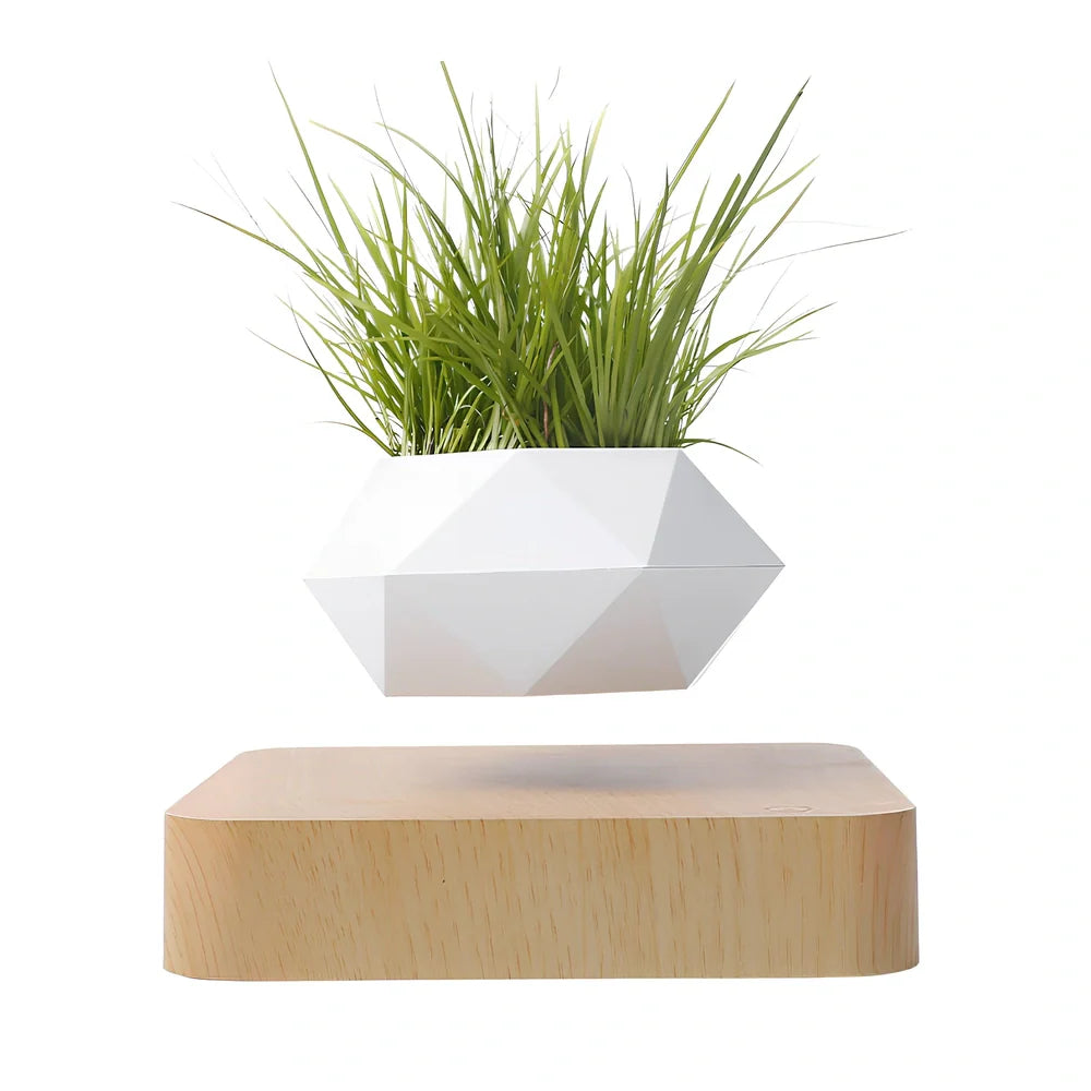 Magnetic levitation potted plant floating 2cm above imitation porcelain base