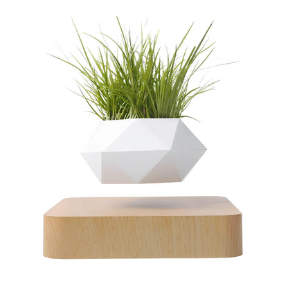 Magnetic levitation potted plant floating 2cm above imitation porcelain base