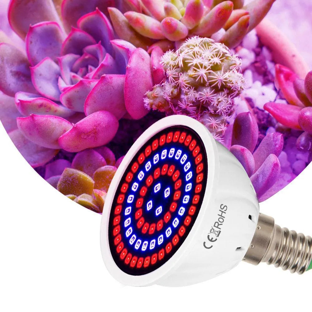 White LED plant grow light with 80 beads for indoor potted plants up to 80 square centimetres coverage