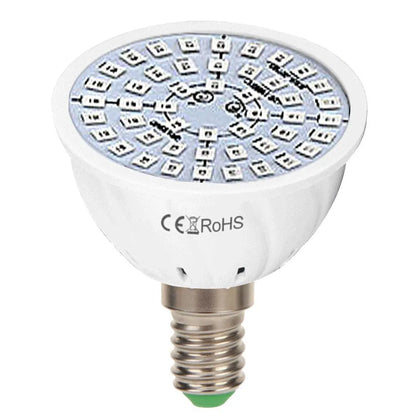 White LED plant grow light with 80 beads for indoor potted plants up to 80 square centimetres coverage