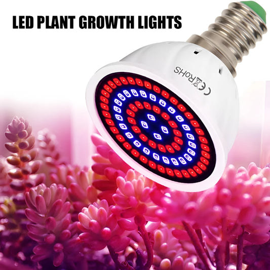 White LED plant grow light with 80 beads for indoor potted plants up to 80 square centimetres coverage