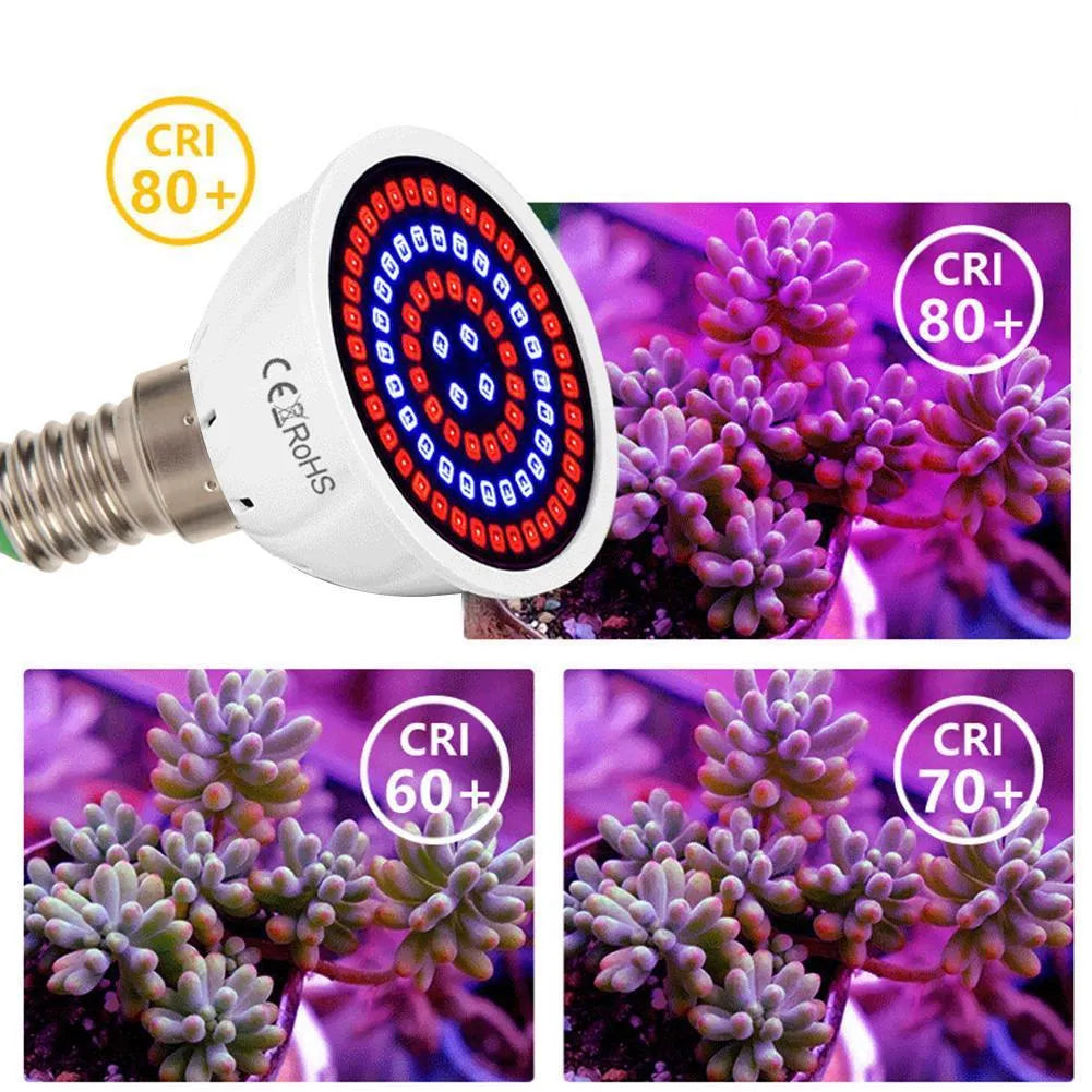 White LED plant grow light with 80 beads for indoor potted plants up to 80 square centimetres coverage